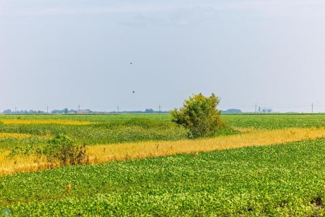 Tbd County Road 1 Barney ND 58061