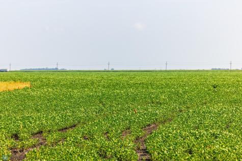 Tbd County Road 1 Barney ND 58061