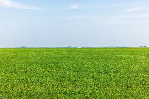 Tbd County Road 1 Barney ND 58061