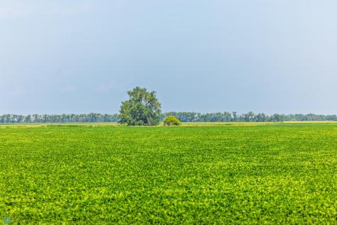 Tbd County Road 1 Barney ND 58061