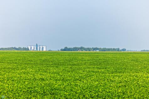 Tbd County Road 1 Barney ND 58061