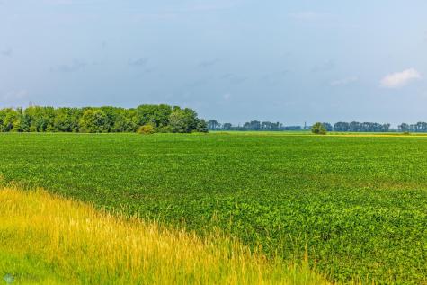Tbd County Road 1 Barney ND 58061