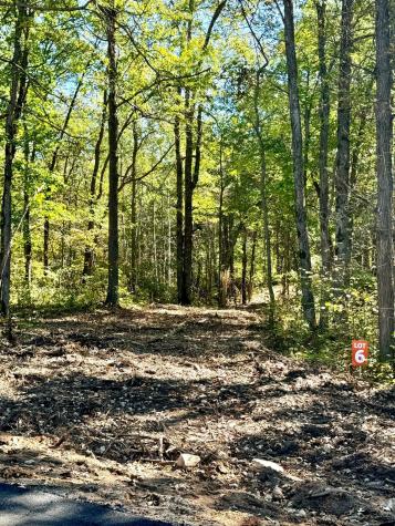 TBD6 Winter Creek Court Nisswa MN 56468