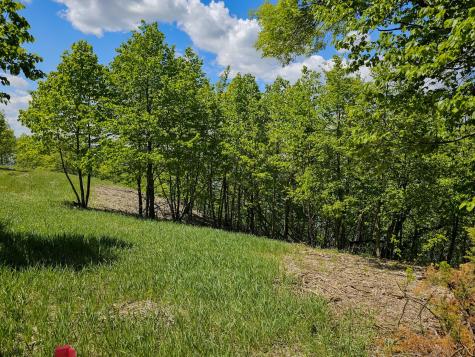 340xx 452nd Street A4 Vergas MN 56587