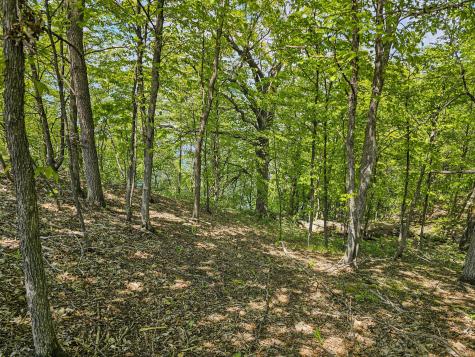 340xx 452nd Street A4 Vergas MN 56587