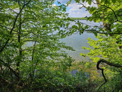 340xx 452nd Street A4 Vergas MN 56587