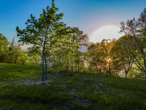 340xx 452nd Street A4 Vergas MN 56587