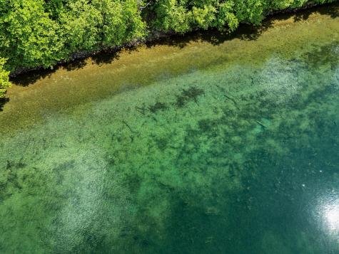 340xx 452nd Street A4 Vergas MN 56587