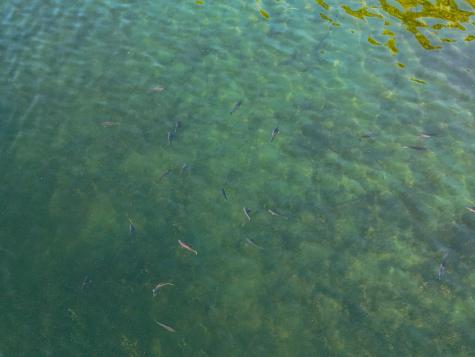 340xx 452nd Street A4 Vergas MN 56587