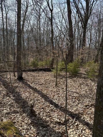 220TH St E 220 Th Street Minerva Twp MN 56621
