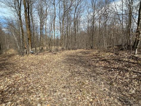 220TH St E 220 Th Street Minerva Twp MN 56621