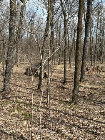 220TH St E 220 Th Street Minerva Twp MN 56621