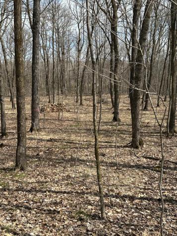220TH St E 220 Th Street Minerva Twp MN 56621
