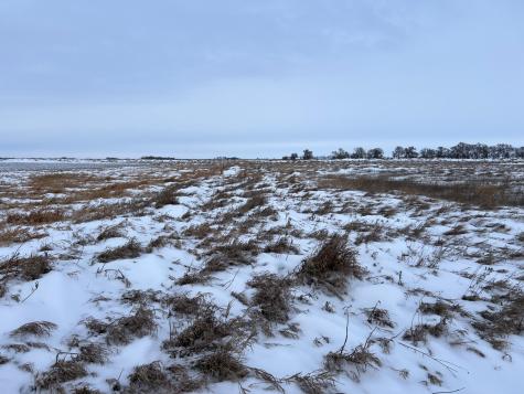 1ST Street SE 1st Street SE Cooperstown ND 58425