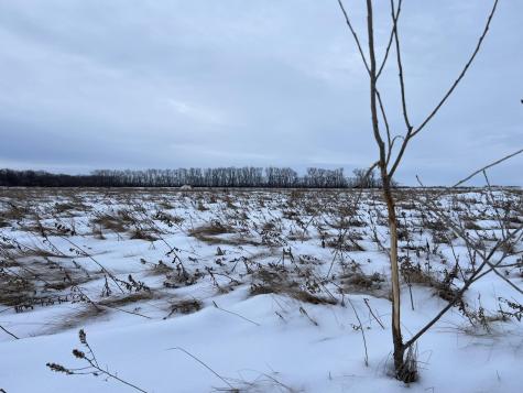 1ST Street SE 1st Street SE Cooperstown ND 58425