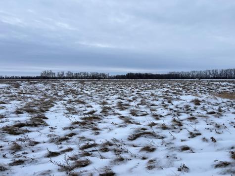 1ST Street SE 1st Street SE Cooperstown ND 58425