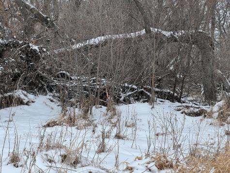 1ST Street SE 1st Street SE Cooperstown ND 58425