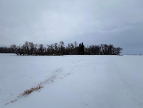 1ST Street SE 1st Street SE Cooperstown ND 58425