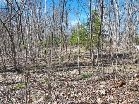 2 450th Street Guthrie Twp MN 56461