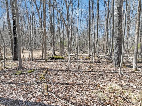 2 450th Street Guthrie Twp MN 56461