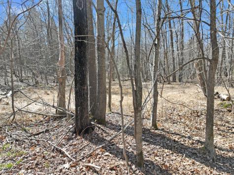 2 450th Street Guthrie Twp MN 56461