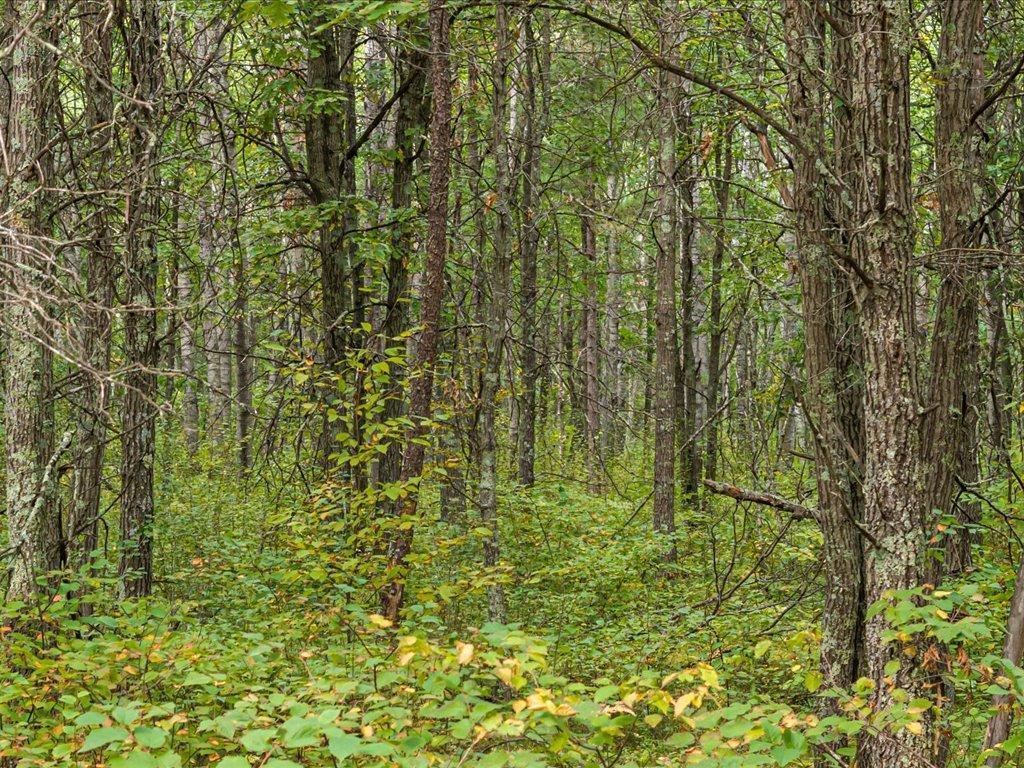 Lot B Sandbar Lane Merrifield MN 56465