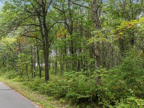 Lot B Sandbar Lane Merrifield MN 56465