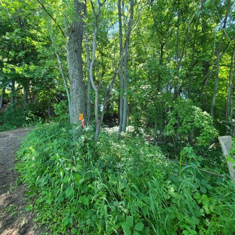 Tbd Sunset Trail Pine City MN 55063