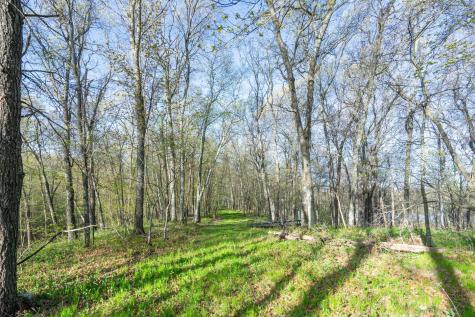 Xxx Timber Ridge Drive Baxter MN 56425