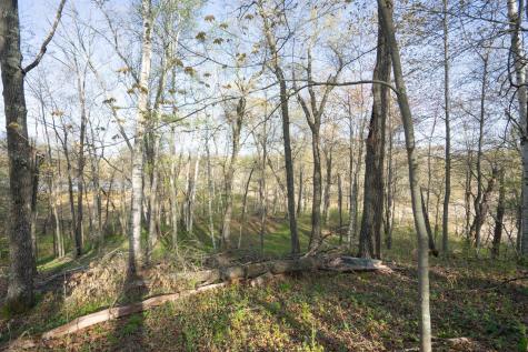 Xxx Timber Ridge Drive Baxter MN 56425
