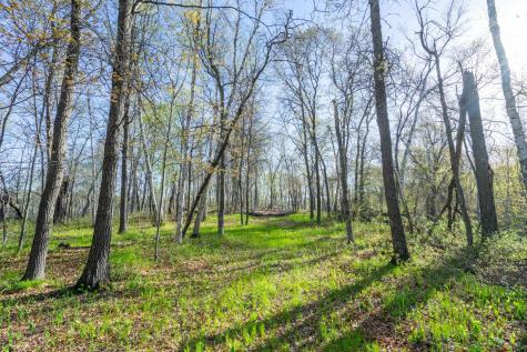Xxx Timber Ridge Drive Baxter MN 56425