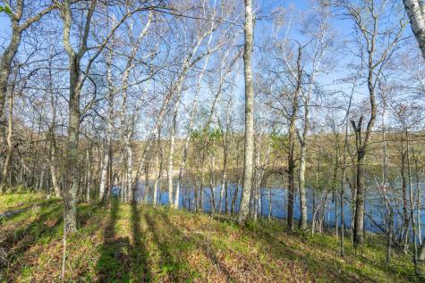 Xxx Timber Ridge Drive Baxter MN 56425