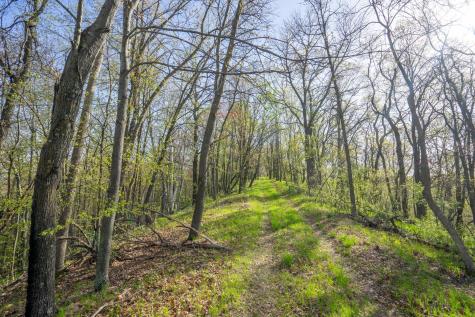Xxx Timber Ridge Drive Baxter MN 56425