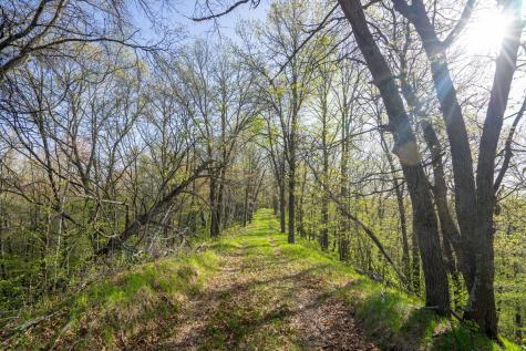 Xxx Timber Ridge Drive Baxter MN 56425