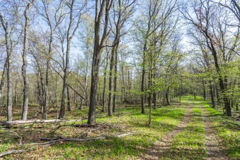 Xxx Timber Ridge Drive Baxter MN 56425