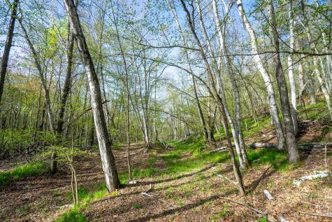 Xxx Timber Ridge Drive Baxter MN 56425