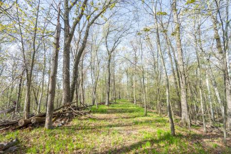 Xxx Timber Ridge Drive Baxter MN 56425