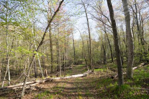 Xxx Timber Ridge Drive Baxter MN 56425