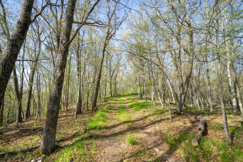 Xxx Timber Ridge Drive Baxter MN 56425