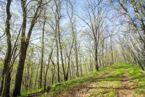 Xxx Timber Ridge Drive Baxter MN 56425