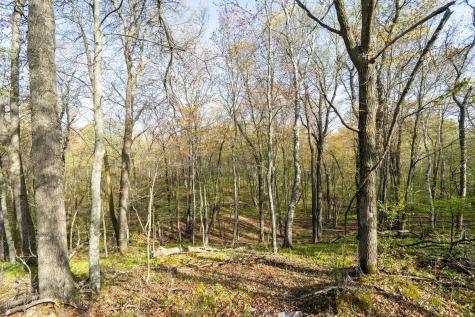 Xxx Timber Ridge Drive Baxter MN 56425