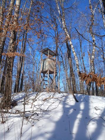 Tbd Bear Road Cushing MN 56443
