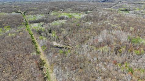 Tbd Bear Road Cushing MN 56443