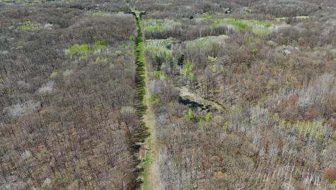 Tbd Bear Road Cushing MN 56443