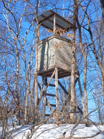 Tbd Bear Road Cushing MN 56443