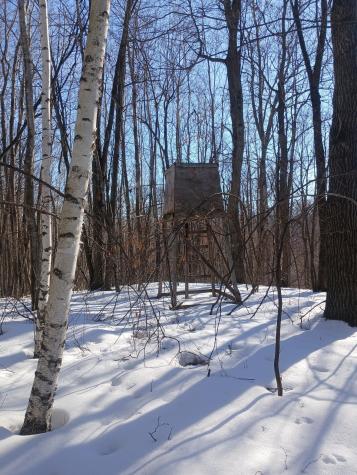 Tbd Bear Road Cushing MN 56443