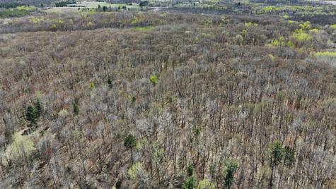 Tbd Bear Road Cushing MN 56443