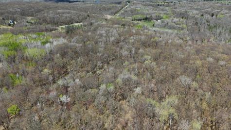 Tbd Bear Road Cushing MN 56443