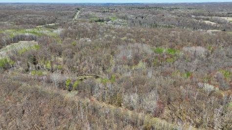 Tbd Bear Road Cushing MN 56443