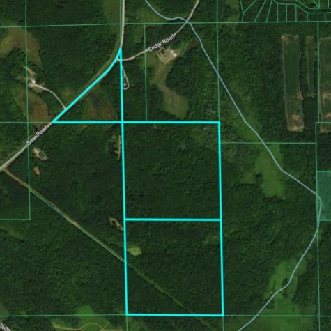 Tbd Bear Road Cushing MN 56443